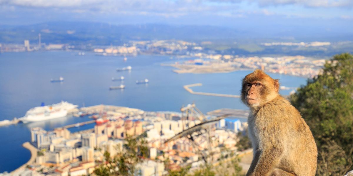 Gibraltár – Két földrész között