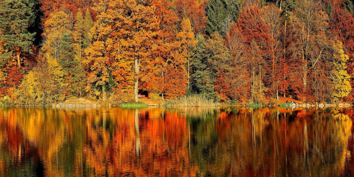 3 hangulatos ökoszállás őszi pihenéshez
