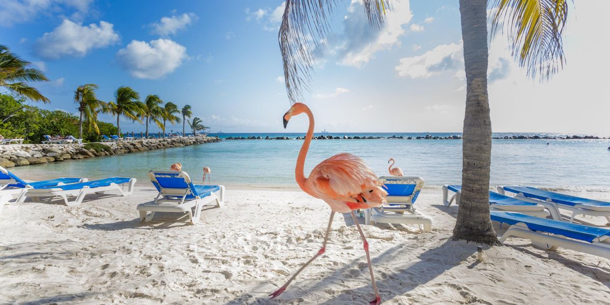 Városi legenda, vagy tényleg létezik malacos tengerpart? És flamingós?
