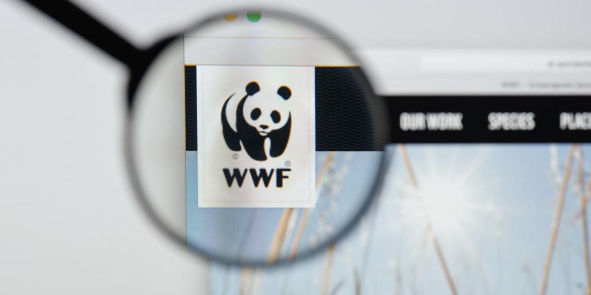 A WWF-et segítheted, ha menő termékeket rendelsz tőlük