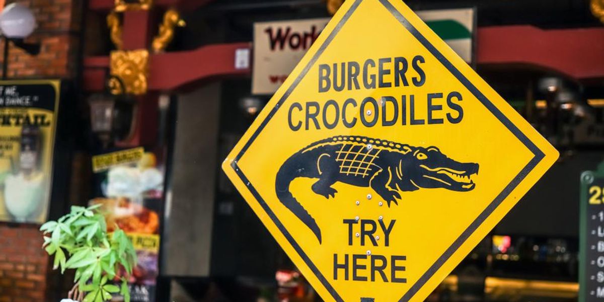 Az ausztrálok régi-új kedvence: a krokodilhús