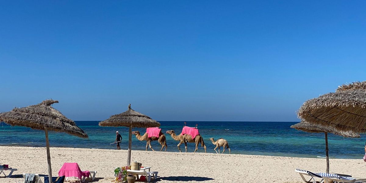 Tunézia nyaralóoázisa, Djerba
