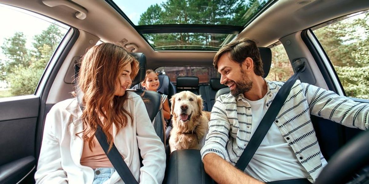 Stresszmentes autózás – évente hány napot ül a családod kocsiban?