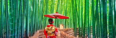 japan kioto bambusz