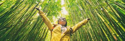 erdő kirándulás bambusz