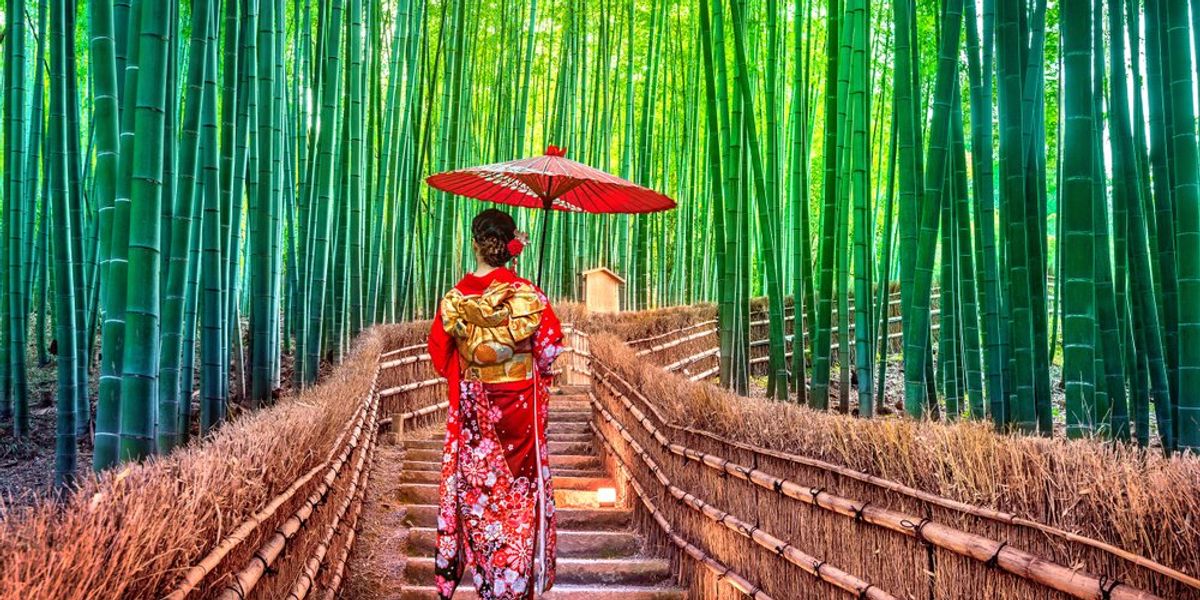 japan kioto bambusz